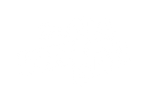 Salt & Vinegar