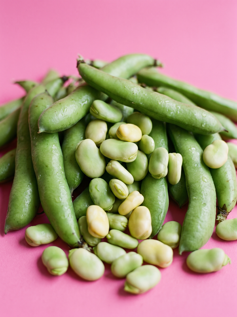 beanbites Grund